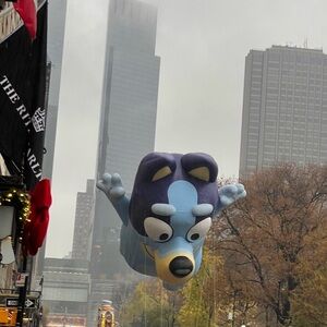 Meet your Posher, Thuy